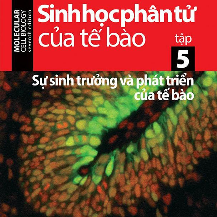 Sinh Học Phân Tử Của Tế Bào - Tập 5: Sự Sinh Trưởng Và Phát Triển Của Tế Bào (Tái Bản Năm 2024) Sinh Học Phân Tử Của Tế Bào - Tập 5: Sự Sinh Trưởng Và Phát Triển Của Tế Bào (Tái Bản Năm 2024)