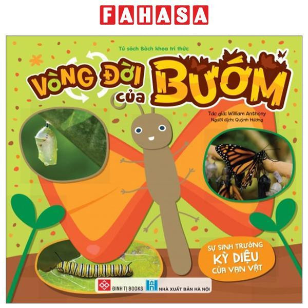 Sự Sinh Trưởng Kỳ Diệu Của Vạn Vật - Vòng Đời Của Bướm