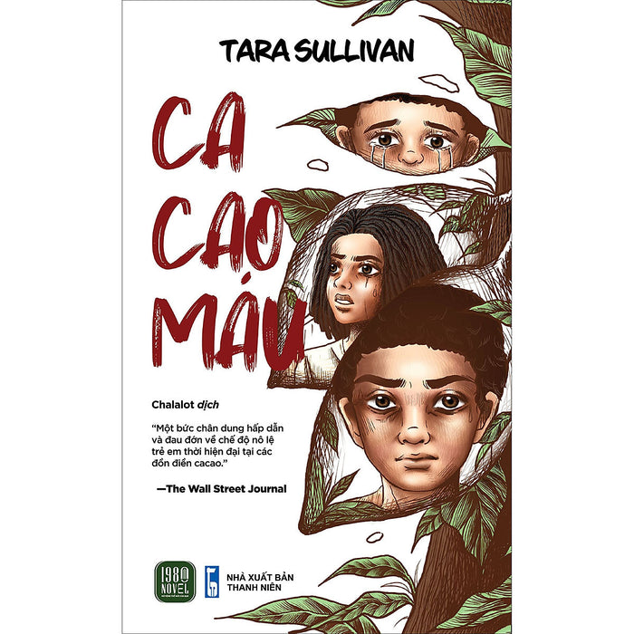 Cacao Máu Cacao Máu