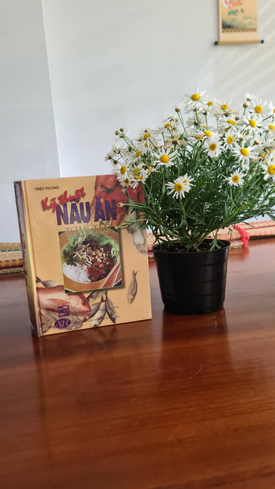 Kỹ Thuật Nấu Ăn Toàn Tập Kỹ Thuật Nấu Ăn Toàn Tập