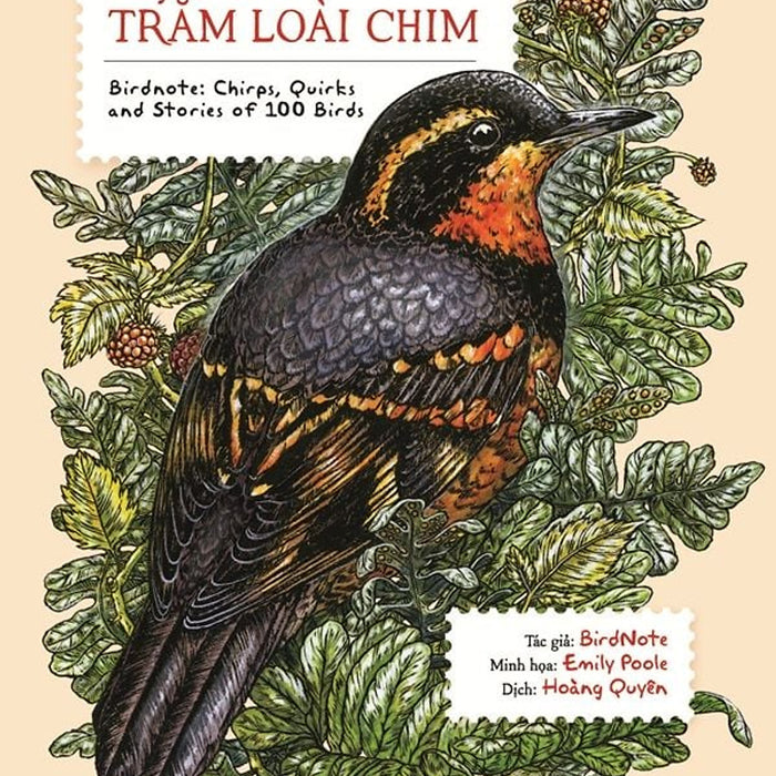 Chuyện Kể Về Trăm Loài Chim Chuyện Kể Về Trăm Loài Chim