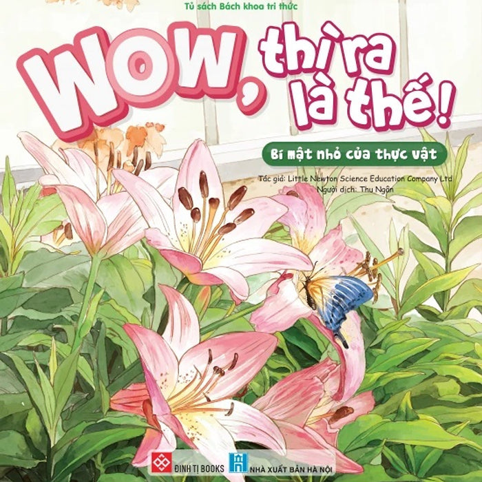 Tủ Sách Bách Khoa Tri Thức Cho Bé – Wow, Thì Ra Là Thế! – Đinh Tị Books Tủ Sách Bách Khoa Tri Thức Cho Bé – Wow, Thì Ra Là Thế! – Đinh Tị Books