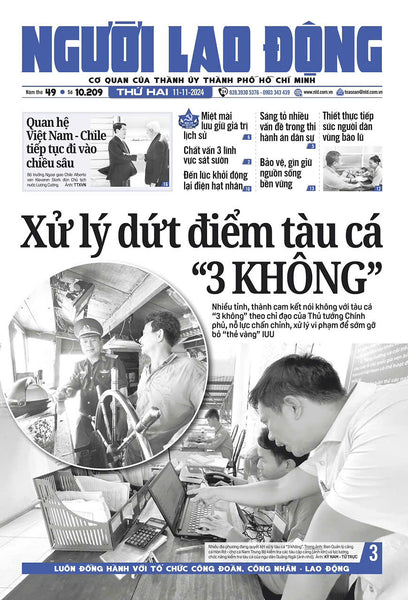 Nhật Báo Người Lao Động Từ Ngày 11-11-2024 Đến 17-11-2024