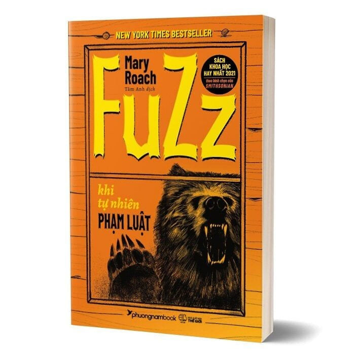 Fuzz - Khi Tự Nhiên Phạm Luật (Pnb) Fuzz - Khi Tự Nhiên Phạm Luật (Pnb)