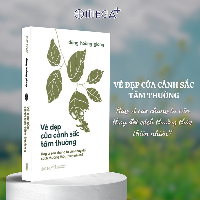 Vẻ Đẹp Của Cảnh Sắc Tầm Thường - Hay Vì Sao Chúng Ta Cần Thay Đổi Cách Thưởng Thức Thiên Nhiên? (Đặng Hoàng Giang) - Omega Plus Vẻ Đẹp Của Cảnh Sắc Tầm Thường - Hay Vì Sao Chúng Ta Cần Thay Đổi Cách Thưởng Thức Thiên Nhiên? (Đặng Hoàng Giang) - Omega Plus