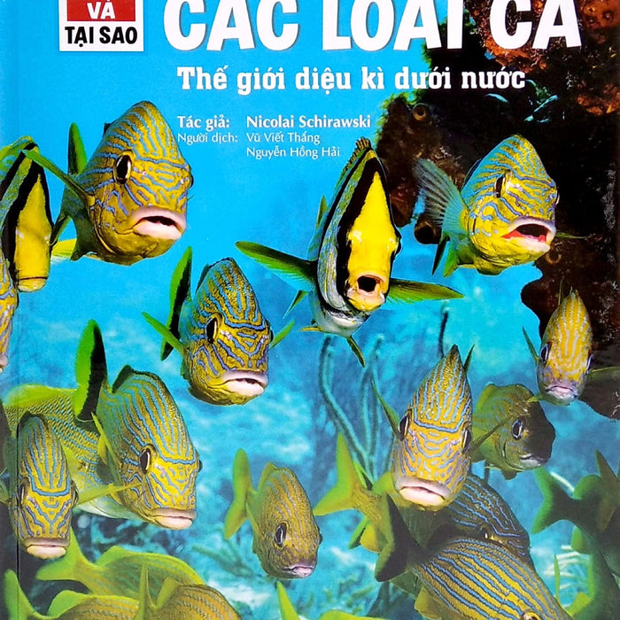 Thế Nào Và Tại Sao - Các Loài Cá - Thế Giới Diệu Kì Dưới Nước_Tv Thế Nào Và Tại Sao - Các Loài Cá - Thế Giới Diệu Kì Dưới Nước_Tv