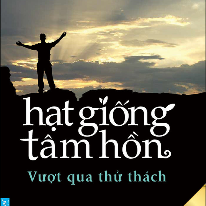 Sách Hạt Giống Tâm Hồn 9:  Vượt Qua Thử Thách (Tái Bản 2020) Sách Hạt Giống Tâm Hồn 9:  Vượt Qua Thử Thách (Tái Bản 2020)