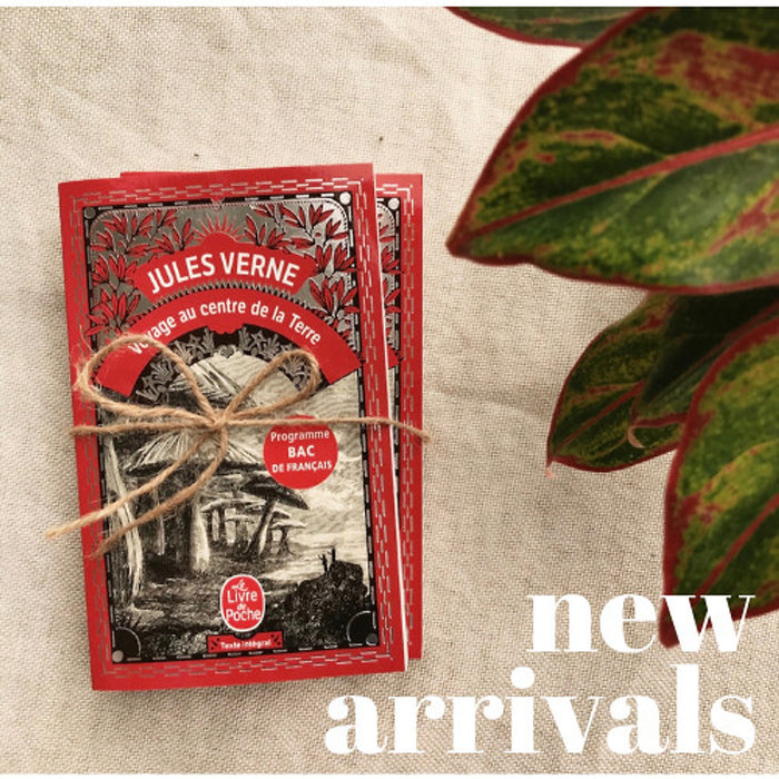 Tiểu Thuyết Văn Học Tiếng Pháp: Voyage Au Centre De La Terre Tiểu Thuyết Văn Học Tiếng Pháp: Voyage Au Centre De La Terre