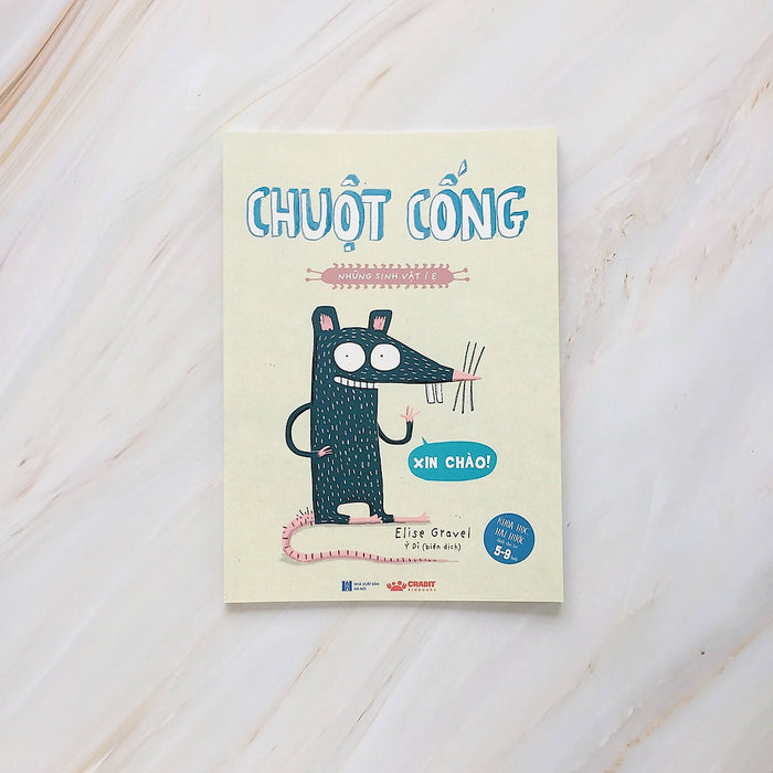 Những Sinh Vật Í Ẹ - Chuột Cống Những Sinh Vật Í Ẹ - Chuột Cống