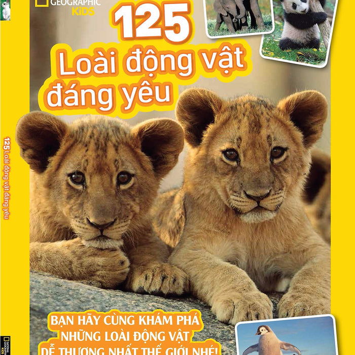 125 Loài Động Vật Đáng Yêu 125 Loài Động Vật Đáng Yêu