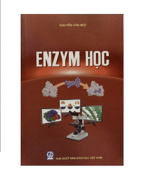 Enzym Học