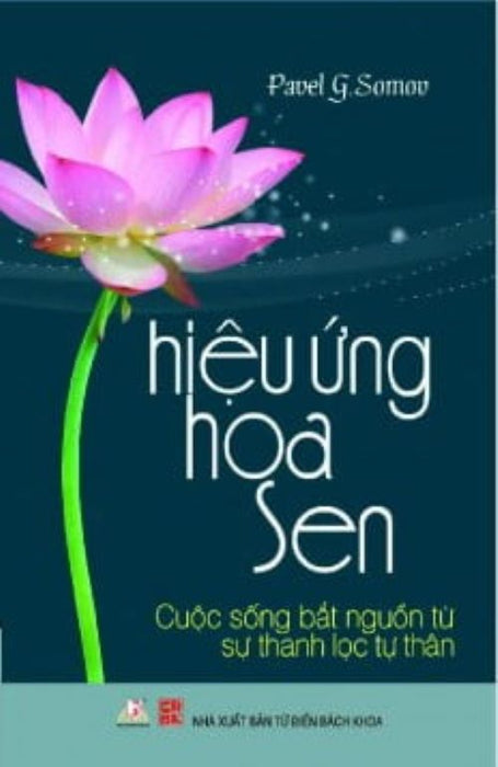 Hiệu Ứng Hoa Sen Hiệu Ứng Hoa Sen