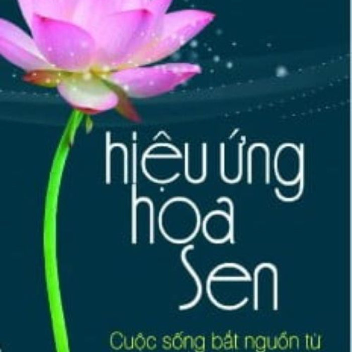 Hiệu Ứng Hoa Sen Hiệu Ứng Hoa Sen