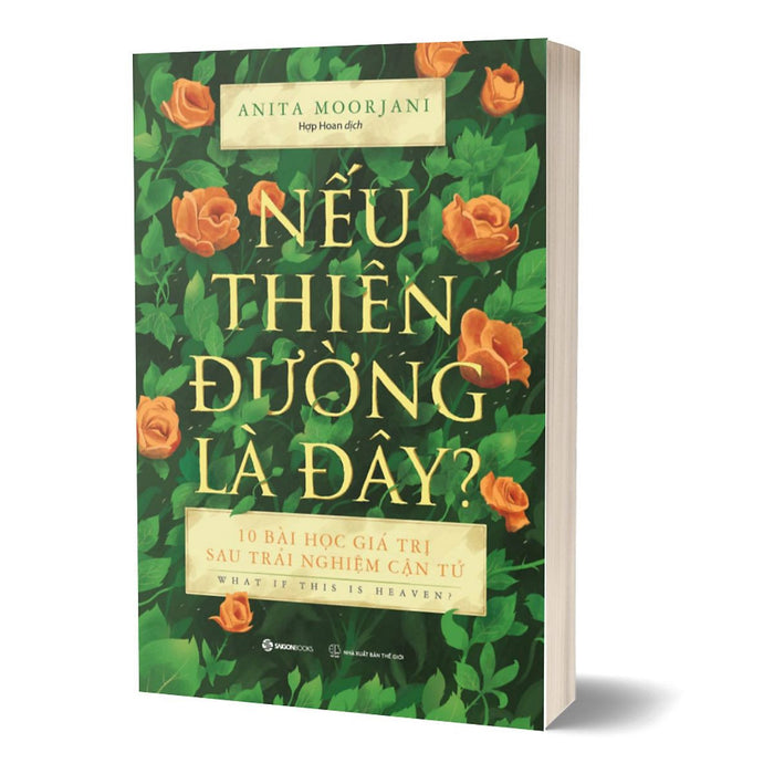 Nếu Thiên Đường Là Đây Nếu Thiên Đường Là Đây