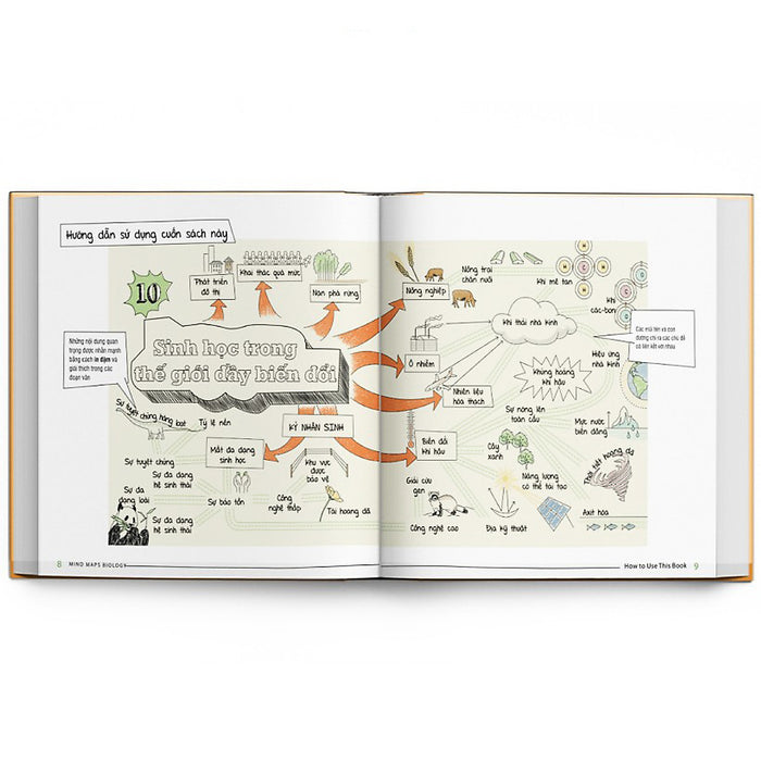 Sách Sơ Đồ Tư Duy Sinh Học - Min Map Biology ( Tặng Kèm Bookmark) Sách Sơ Đồ Tư Duy Sinh Học - Min Map Biology ( Tặng Kèm Bookmark)
