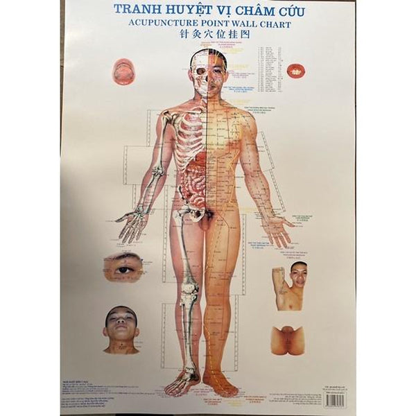 Sách - Tranh Châm Cứu