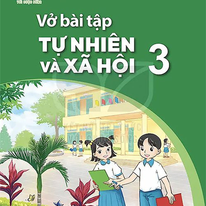 Sách Vở Bài Tập Tự Nhiên Và Xã Hội 3- Kết Nối Tri Thức Với Cuộc Sống (Kèm Nilon Bọc Sách, Nhãn Tên)