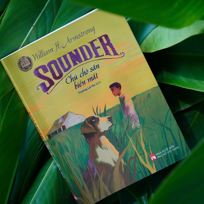 Sounder – Chú Chó Săn Biến Mất