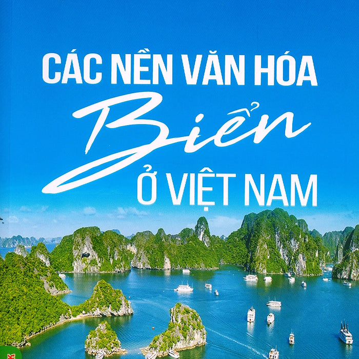 Các Nền Văn Hóa Biển Ở Việt Nam - Gs.Ts. Phạm Đức Dương