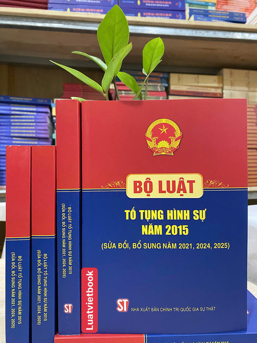 Bộ Luật Tố Tụng Hình Sự Năm 2015 ( Sửa Đổi, Bổ Sung Năm 2021, 2024, 2025 )