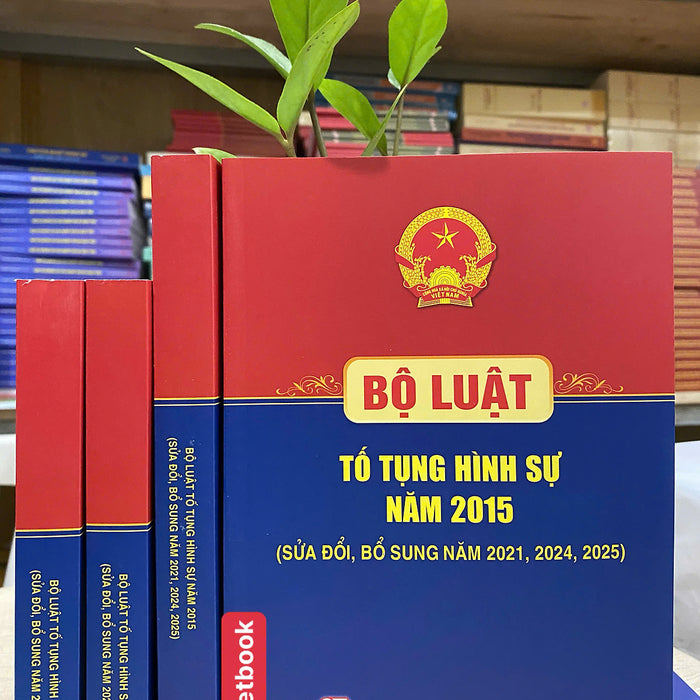 Bộ Luật Tố Tụng Hình Sự Năm 2015 ( Sửa Đổi, Bổ Sung Năm 2021, 2024, 2025 )
