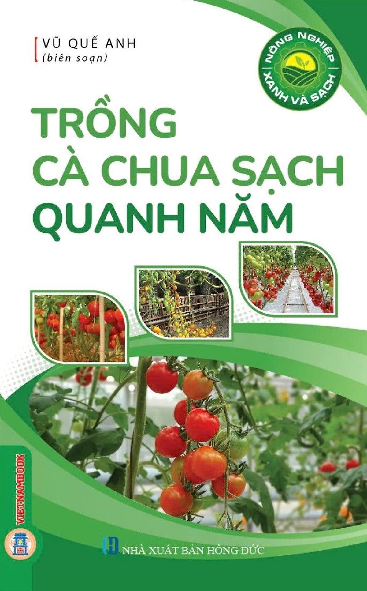 Trồng Cà Chua Sạch Quanh Năm