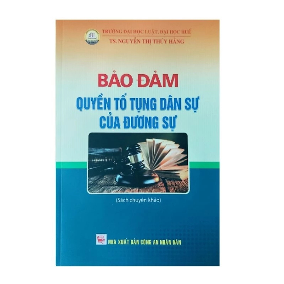Sách - Bảo Đảm Quyền Tố Tụng Dân Sự Của Đương Sự - Nguyễn Thị Thúy Hằng - Nhà Xuất Bản Công An Nhân Dân