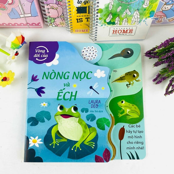 Sách - Vòng Đời Của Sâu Và Bướm/Nòng Nọc Và Ếch - Ndbooks (Arcturus - Sách Bản Quyền Uk)