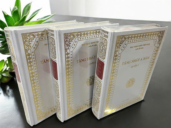 Sách - Kinh Tăng Nhất A-Hàm (A Hàm Hán Tạng, Kinh Nguyên Tạng Đại Tạng Kinh Việt Nam)