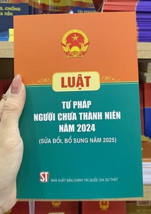 Luật Tư Pháp Người Chưa Thành Niên Năm 2024 (Sửa Đổi, Bổ Sung Năm 2025)