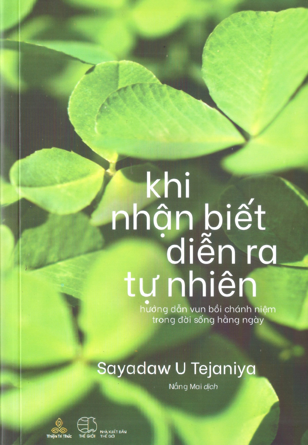 Khi Nhận Biết Diễn Ra Tự Nhiên - Hướng Dẫn Vun Bồi Chánh Niệm Trong Đời Sống Hàng Ngày