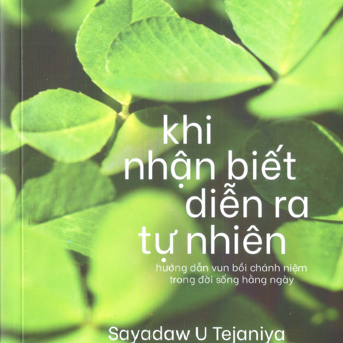 Khi Nhận Biết Diễn Ra Tự Nhiên - Hướng Dẫn Vun Bồi Chánh Niệm Trong Đời Sống Hàng Ngày