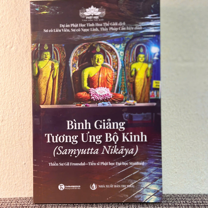 Bình Giảng Tương Ưng Bộ Kinh - Thiền Sư Gil Fronsdal - Nxb Tri Thức - Thái Hà Books