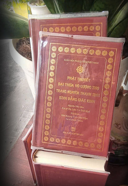 Phật Thuyết Đại Thừa Vô Lượng Thọ Trang Nghiêm Thanh Tịnh Bình Đẳng Giác Kinh (Sách Bỏ Túi)