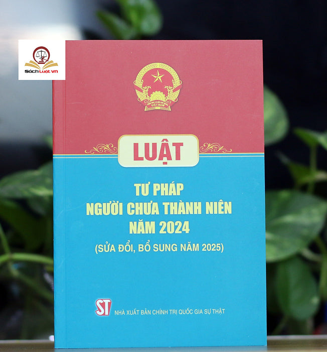 Luật Tư Pháp Người Chưa Thành Niên Năm 2024 (Sửa Đổi, Bổ Sung Năm 2025)