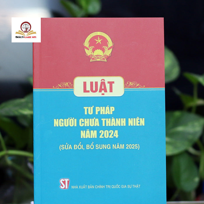 Luật Tư Pháp Người Chưa Thành Niên Năm 2024 (Sửa Đổi, Bổ Sung Năm 2025)