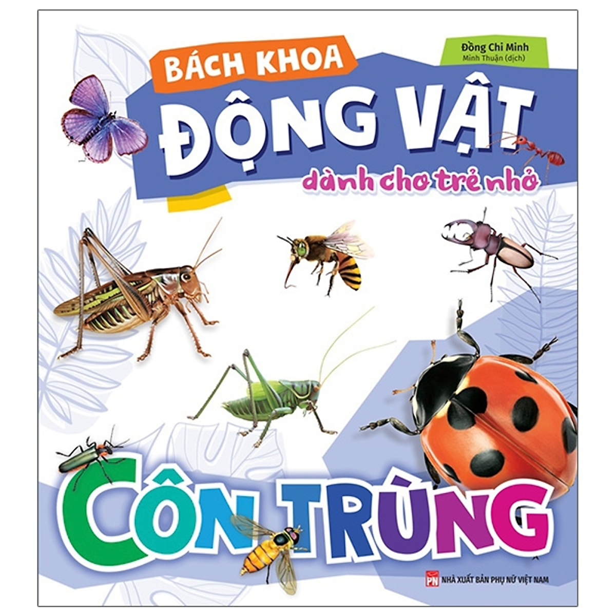 Sách Bách Khoa Động Vật Dành Cho Trẻ Nhỏ - Côn Trùng