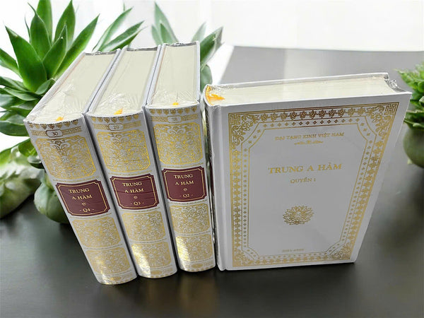 Sách - Kinh Trung A Hàm - A-Hàm Hán Tạng(Bộ 4 Quyển, Nguyên Bản Đại Tạng Kinh Việt Nam)