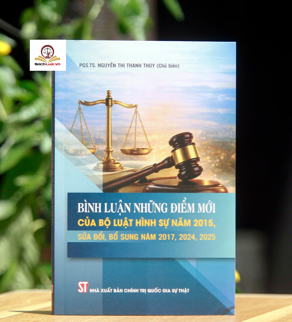 Bình Luận Những Điểm Mới Của Bộ Luật Hình Sự Năm 2015, Sửa Đổi, Bổ Sung Năm 2017, 2024, 2025