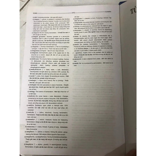 Sách - Từ Điển Y Học Anh - Việt (English - Vietnamese Medical Dictionary)