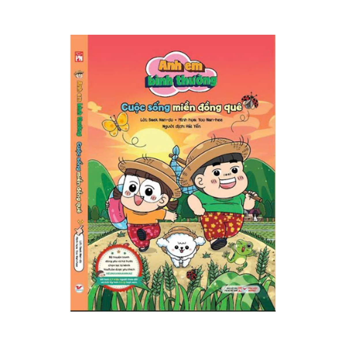 Sách Anh Em Bình Thường