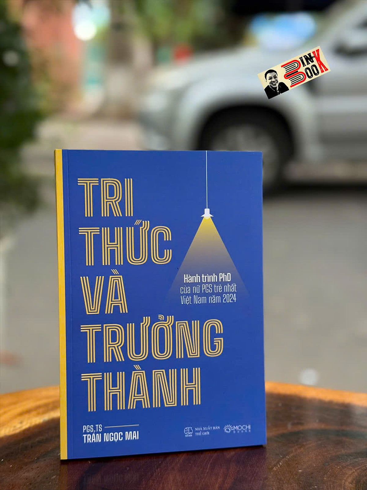 Tri Thức Và Trưởng Thành - Hành Trình Phd Của Nữ Pgs Trẻ Nhất Việt Nam Năm 2024 – Pgs. Ts Trần Ngọc Mai – Mochibooks – Nxb Thế Giới