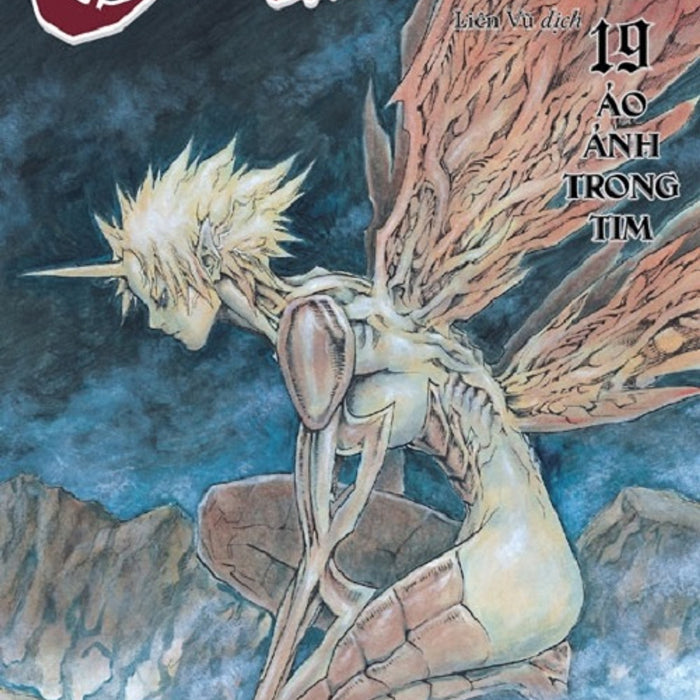 Claymore 19: Ảo Ảnh Trong Tim