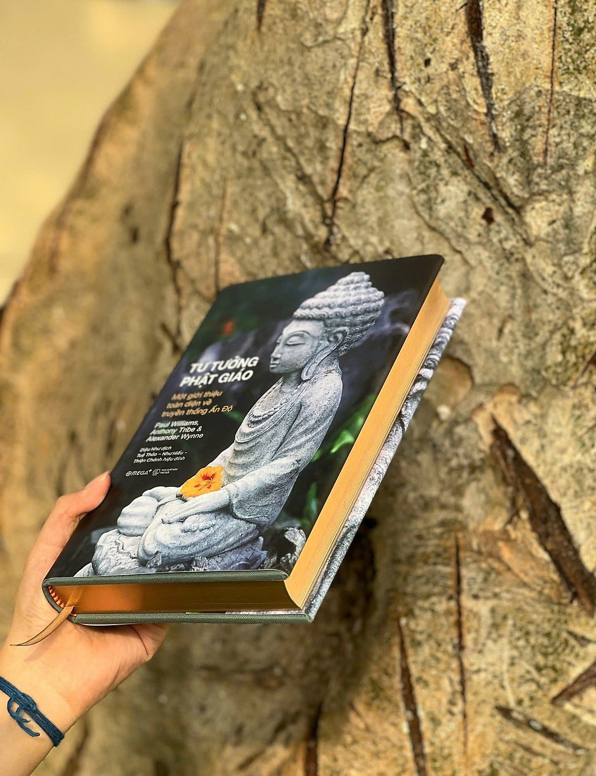 [Bản Đặc Biệt] Tư Tưởng Phật Giáo – Một Giới Thiệu Toàn Diện Về Truyền Thống Ấn Độ