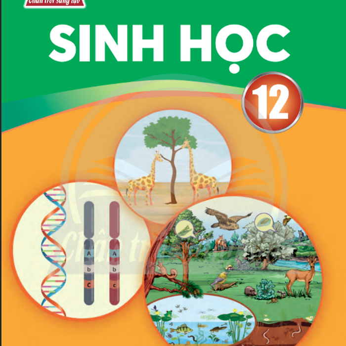 Sách Giáo Khoa Sinh Học 12- Chân Trời Sáng Tạo