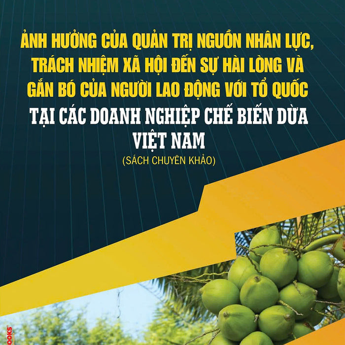 Ảnh Hưởng Của Quản Trị Nguồn Nhân Lực, Trách Nhiệm Xã Hội Đến Sự Hài Lòng Và Gắn Bó Của Người Lao Động Với Tổ Chức Tại Các Doanh Nghiệp Chế Biến Dừa Việt Nam - Sách Chuyên Khảo