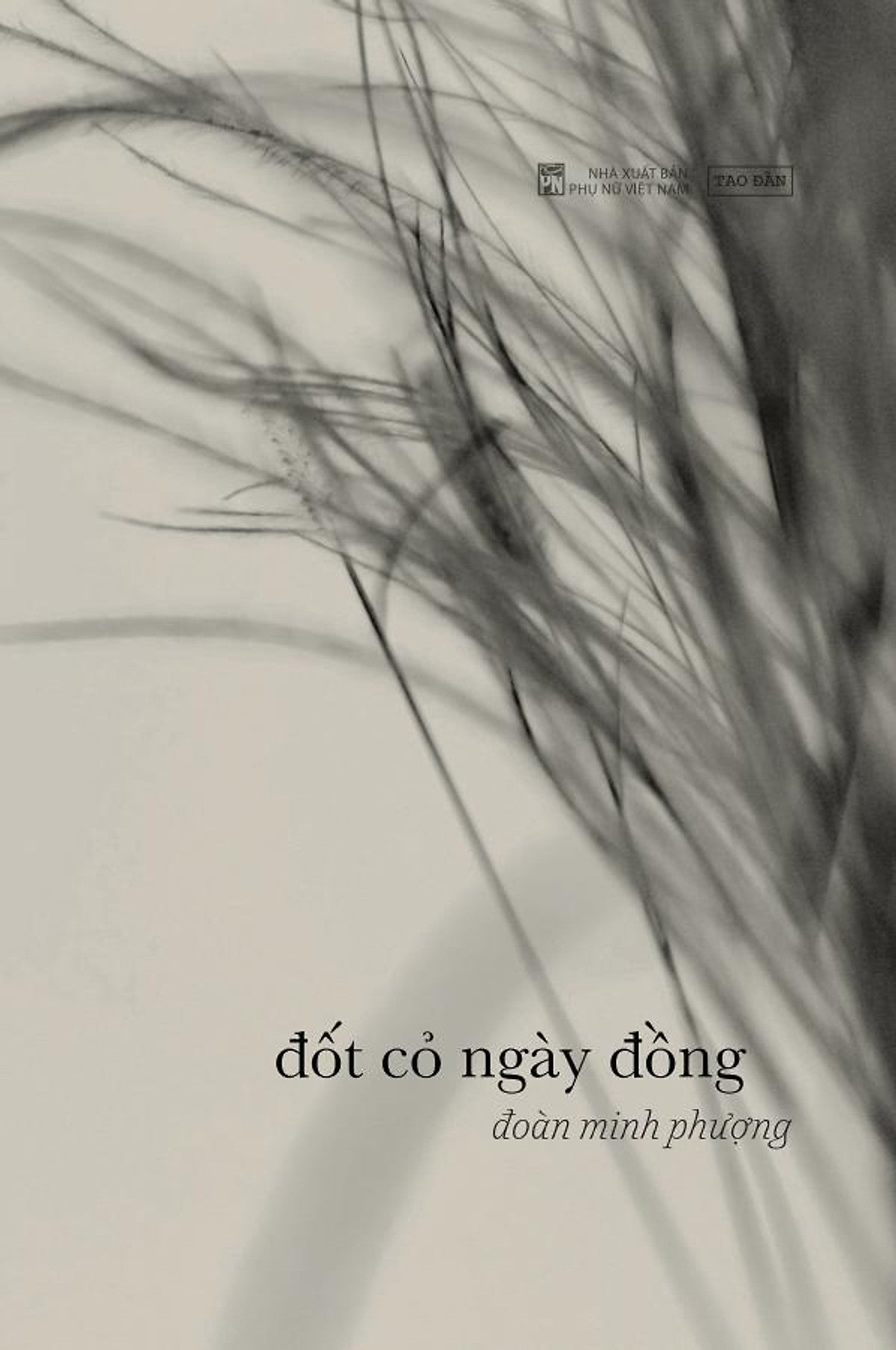 Đốt Cỏ Ngày Đồng