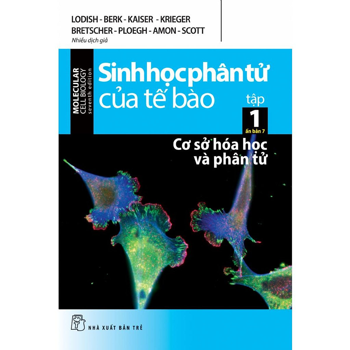 Sách - Sinh Học Phân Tử Của Tế Bào 01: Cơ Sở Hóa Học Và Phân Tử (Ấn Bản 7) (Nxbt)