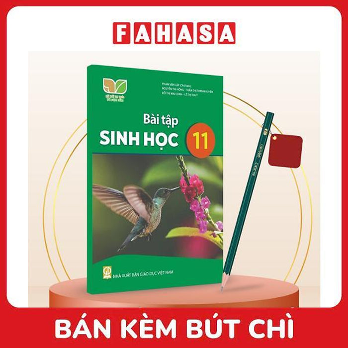 Sách Giáo Khoa Bài Tập Sinh Học 11 (Kết Nối) (Chuẩn) - Kèm Bút Chì