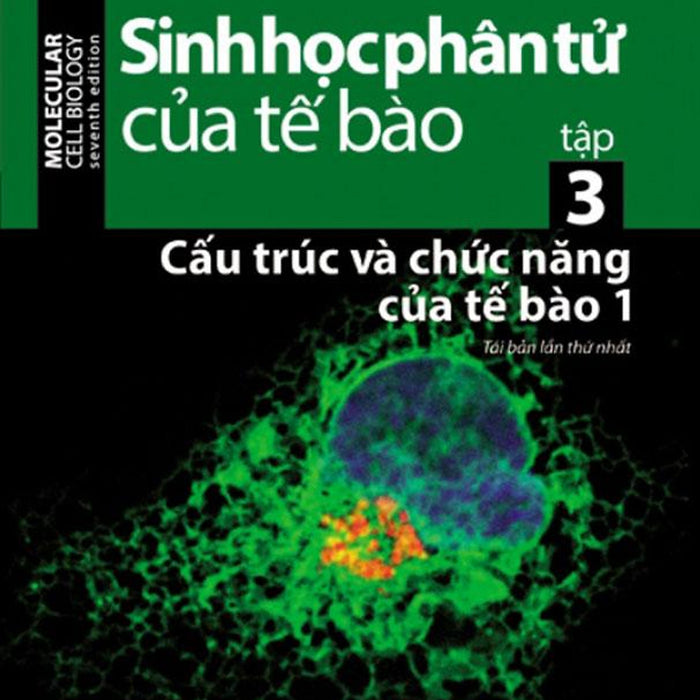 Sinh Học Phân Tử Của Tế Bào - Tập 3: Cấu Trúc Và Chức Năng Của Tế Bào 1 (Tái Bản Năm 2024)